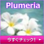 Plumeria